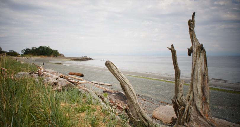 4  Favourite Nanaimo Outdoor Hot Spots